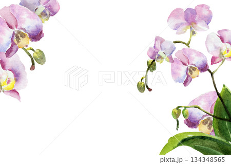 horizontal frame with watercolor pink and purple orchid flowers, buds and green leaves, hand drawn tropical plant, floral sketch of blossom flowers, botanical illustration for wedding decoration 134348565