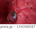 Watermelon background with a silver spoon. 134348587