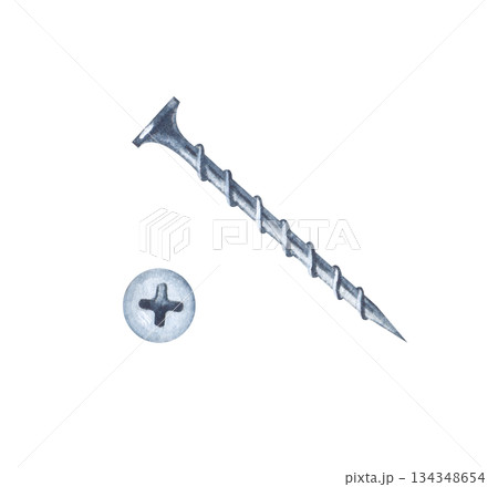 A long and sharp threaded screw, top and side view, on an isolated background. A clipart with an image of a working tool for home repairs and construction work A long and sharp threaded screw, top and side view, on an isolated background. A clipart with an image of a working tool for home repairs and construction work 134348654