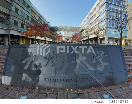 九州大学 九州大学 134348711