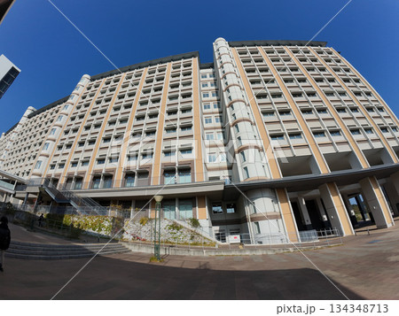 九州大学 134348713