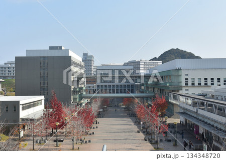 九州大学 134348720