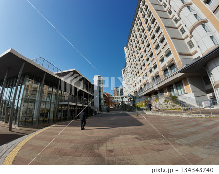 九州大学 134348740