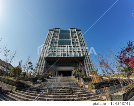 九州大学 九州大学 134348741