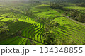 Bali island iconic rice terraces forming a vibrant green agricultural landscape, island traditional farming fields methods and lush tropical nature at sunset light. Aerial view drone flight panorama Bali island iconic rice terraces forming a vibrant green agricultural landscape, island traditional farming fields methods and lush tropical nature at sunset light. Aerial view drone flight panorama 134348855