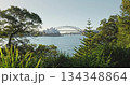Sydney Opera House and Harbor Bridge, framed by vibrant green trees and foliage, capturing an iconic view of bustling city dominate harbor skyline. Park and modern architecture. Drone flight footage Sydney Opera House and Harbor Bridge, framed by vibrant green trees and foliage, capturing an iconic view of bustling city dominate harbor skyline. Park and modern architecture. Drone flight footage 134348864
