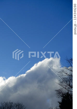 冬の雲と青空と木々 134349280