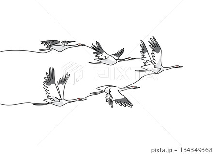 Single continuous line drawing a group of whooping cranes in flight with their wings in various positions. Formation during migration. Together. Whooping Crane Day. One line design vector illustration Single continuous line drawing a group of whooping cranes in flight with their wings in various positions. Formation during migration. Together. Whooping Crane Day. One line design vector illustration 134349368