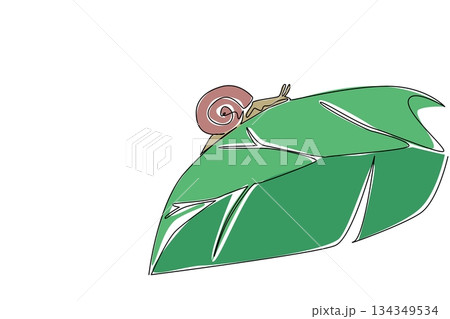 Continuous one line drawing snail walking beside leaf. Perch on the leaves at once to crush them completely. Trying to adapt. Habitat. National Snail Day. Single line draw design vector illustration Continuous one line drawing snail walking beside leaf. Perch on the leaves at once to crush them completely. Trying to adapt. Habitat. National Snail Day. Single line draw design vector illustration 134349534