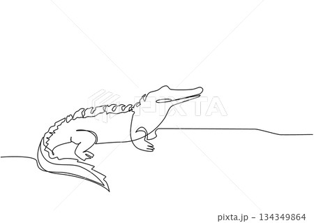 Single one line drawing alligator on the surface of the swamp. Like a famous logo. Very iconic. Expensive brand. The predator. National Alligator Day. Continuous line design graphic illustration 134349864