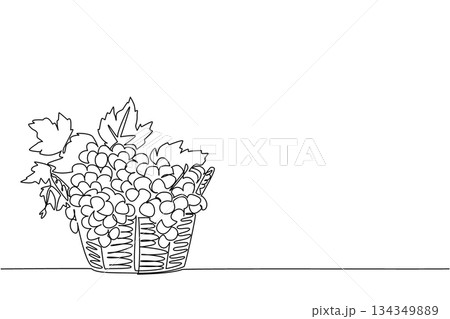 Single continuous line drawing the green and purple grapes with leaves in a woven basket. Diversity abounds at harvest time. Delicious taste. National Grape Day. One line design vector illustration Single continuous line drawing the green and purple grapes with leaves in a woven basket. Diversity abounds at harvest time. Delicious taste. National Grape Day. One line design vector illustration 134349889