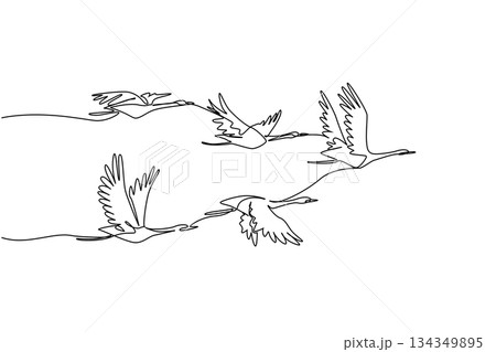 Single continuous line drawing a group of whooping cranes in flight with their wings in various positions. Formation during migration. Together. Whooping Crane Day. One line design vector illustration Single continuous line drawing a group of whooping cranes in flight with their wings in various positions. Formation during migration. Together. Whooping Crane Day. One line design vector illustration 134349895