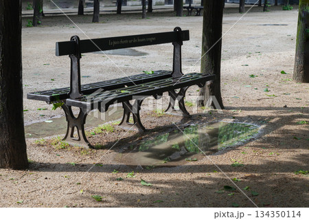 Benches garden beneath the shade of the trees with reflection in a puddle after rain. Benches garden beneath the shade of the trees with reflection in a puddle after rain. 134350114