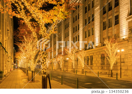 神戸旧居留地のイルミネーション (兵庫県神戸市中央区) 134350236