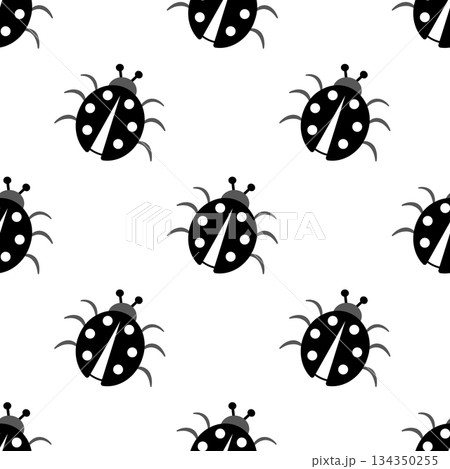 Black white repeat ladybugs on white background. Cute insects wildlife seamless pattern. Monochrome minimalist nature background. Black white repeat ladybugs on white background. Cute insects wildlife seamless pattern. Monochrome minimalist nature background. 134350255