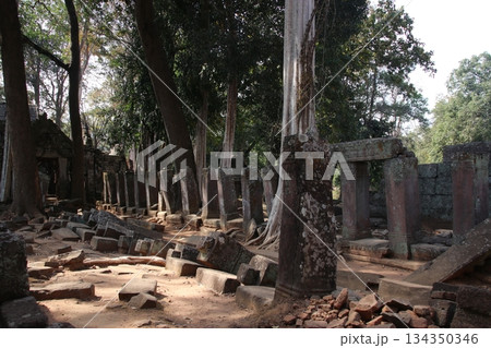 プラサット・トムの参道 134350346