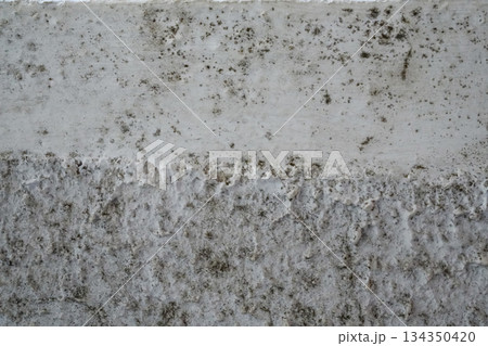 Black Mold Spots on Interior Walls Black Mold Spots on Interior Walls 134350420