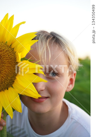 Smiling Child Holding Sunflower in Field 134350499