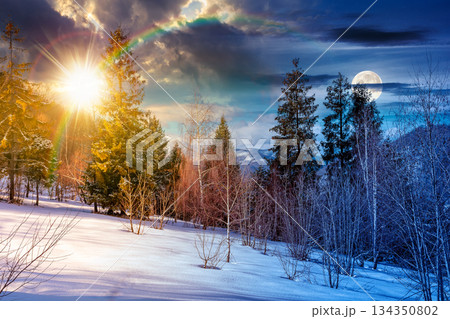 winter solstice landscape. day and night time change concept. deciduous forest on snow covered hill with sun and moon at twilight. beautiful scenery under blue sky. duality and transition template winter solstice landscape. day and night time change concept. deciduous forest on snow covered hill with sun and moon at twilight. beautiful scenery under blue sky. duality and transition template 134350802