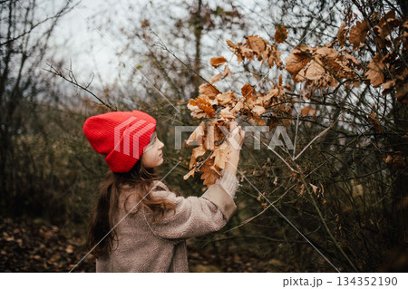 Autumn portrait of girl in forest, examinig dry leaves. 134352190