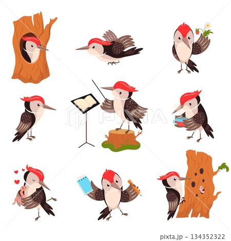 Woodpecker characters. Cartoon funny woodpeckers on tree, drink tea, looking food. Cute forest wild bird different poses, childish mascot, nowaday vector set Woodpecker characters. Cartoon funny woodpeckers on tree, drink tea, looking food. Cute forest wild bird different poses, childish mascot, nowaday vector set 134352322