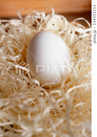 A white hen's egg among natural wood shavings. Vertical real shot A white hen's egg among natural wood shavings. Vertical real shot 134353153