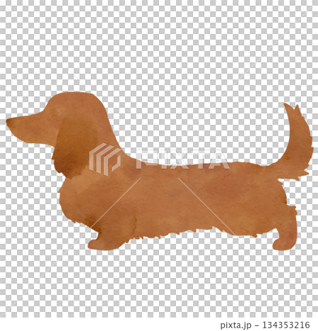 棕色迷你臘腸犬的水彩插畫 棕色迷你臘腸犬的水彩插畫 134353216
