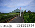 西大山駅から望む開聞岳 134353256