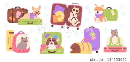 Travel with pets. Puppies and kitten in suitcases and touristic bags. Positive dog has journey, cat looking from purse. Animal tourism racy vector set Travel with pets. Puppies and kitten in suitcases and touristic bags. Positive dog has journey, cat looking from purse. Animal tourism racy vector set 134353952