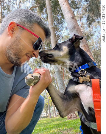 A man is petting a dog with a blue collar 134354416