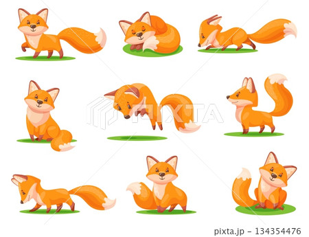 Cartoon red fox. Cute foxes with orange fluffy tail, funny baby sly animal forest character wildlife funny foxy face animals standing jump sitting poses, neat vector illustration Cartoon red fox. Cute foxes with orange fluffy tail, funny baby sly animal forest character wildlife funny foxy face animals standing jump sitting poses, neat vector illustration 134354476