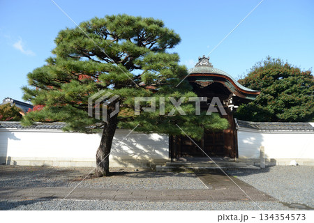 妙覚寺 唐門 京都市上京区上御霊前通小川東入 妙覚寺 唐門 京都市上京区上御霊前通小川東入 134354573