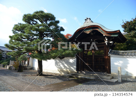 妙覚寺　唐門　京都市上京区上御霊前通小川東入 134354574