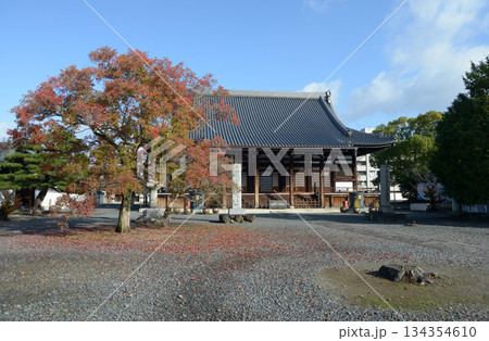 妙覚寺 祖師堂 京都市上京区上御霊前通小川東入 妙覚寺 祖師堂 京都市上京区上御霊前通小川東入 134354610