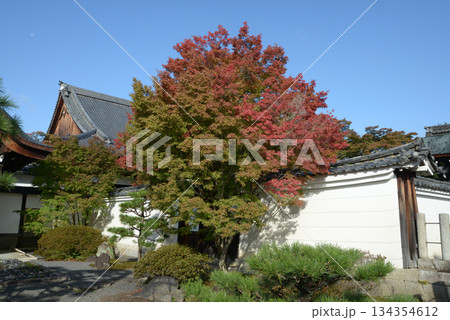 妙覚寺　境内の紅葉　京都市上京区上御霊前通小川東入 134354612