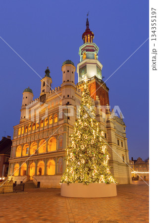 Christmas tree at Poznan Town Hall, Poznan, Poland 134355197