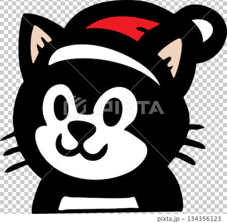 Cute Black Cat Face Icons Set with Different Expressions 134356123