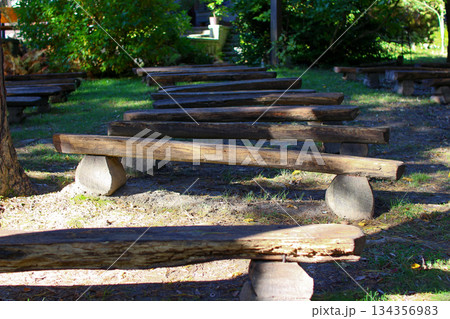 Rows of wooden benches under trees in a serene park during a sunny day Rows of wooden benches under trees in a serene park during a sunny day 134356983