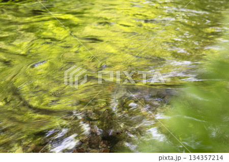 森の水面に映る新緑・清流・エコイメージ(奥大山) 森の水面に映る新緑・清流・エコイメージ(奥大山) 134357214