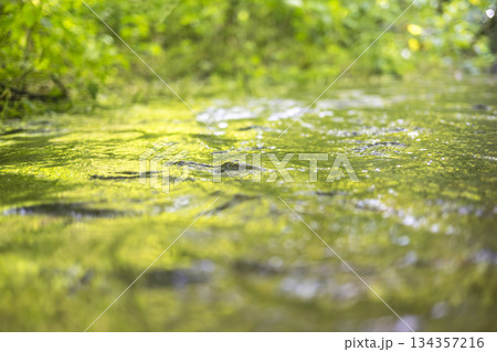 森の水面に映る新緑・清流・エコイメージ（奥大山） 134357216