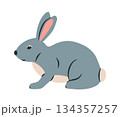 Rabbit cartoon vector illustration. Cute bunny rabbit cartoon clipart flat. Rabbit in sitting pose 134357257