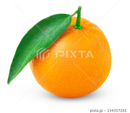 Ripe tangerine or mandarin with green leaf isolated. Juicy clementine fruit with leaves. Ripe tangerine or mandarin with green leaf isolated. Juicy clementine fruit with leaves. 134357281