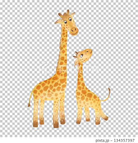 Cartoon giraffes: mother and baby. Flat style children's illustration. Watercolor, pastel, yellow, orange. Design element for children's prints Cartoon giraffes: mother and baby. Flat style children's illustration. Watercolor, pastel, yellow, orange. Design element for children's prints 134357397