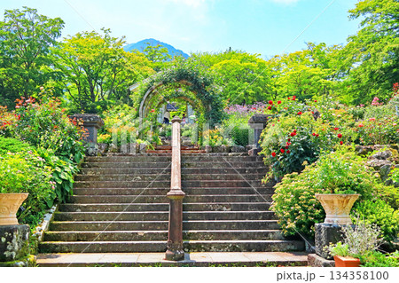 箱根強羅公園 134358100