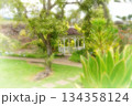 白い東屋と緑の庭 134358124