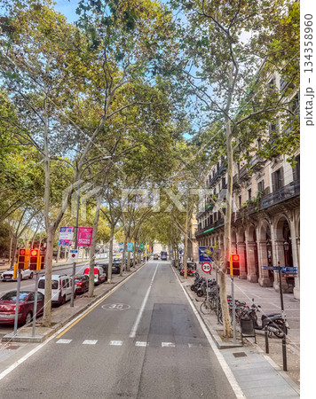 Scenic tree-lined city street with cars, traffic lights, and classic European architecture on a bright day. Peaceful urban landscape with natural greenery. High quality photo Scenic tree-lined city street with cars, traffic lights, and classic European architecture on a bright day. Peaceful urban landscape with natural greenery. High quality photo 134358960