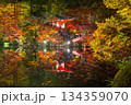 紅葉のライトアップされた秋の弁天堂 134359070