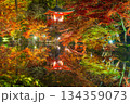 ライトアップされた紅葉と弁天堂 134359073