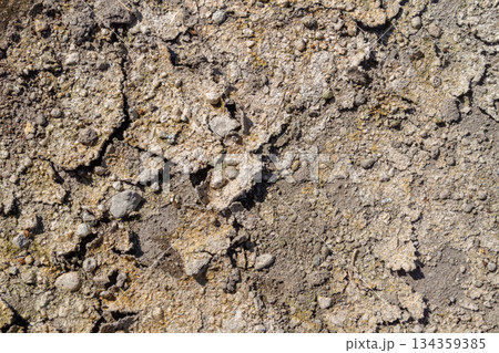 Cracked dry ground surface texture background with small gravel details 134359385