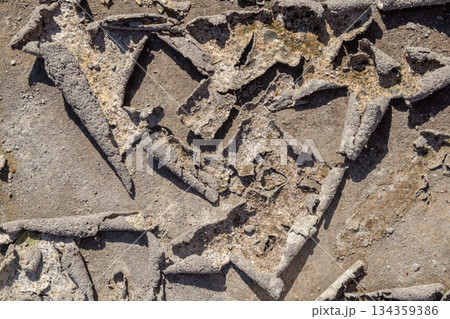 Cracked dry surface peeling texture detail close-up greyish beige dirt ground background Cracked dry surface peeling texture detail close-up greyish beige dirt ground background 134359386